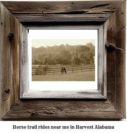 horse trail rides near me in Harvest, Alabama